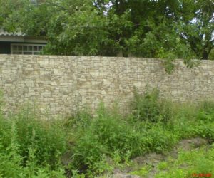 dsc00262