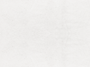 13-fon